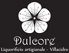 Logo Dulcore